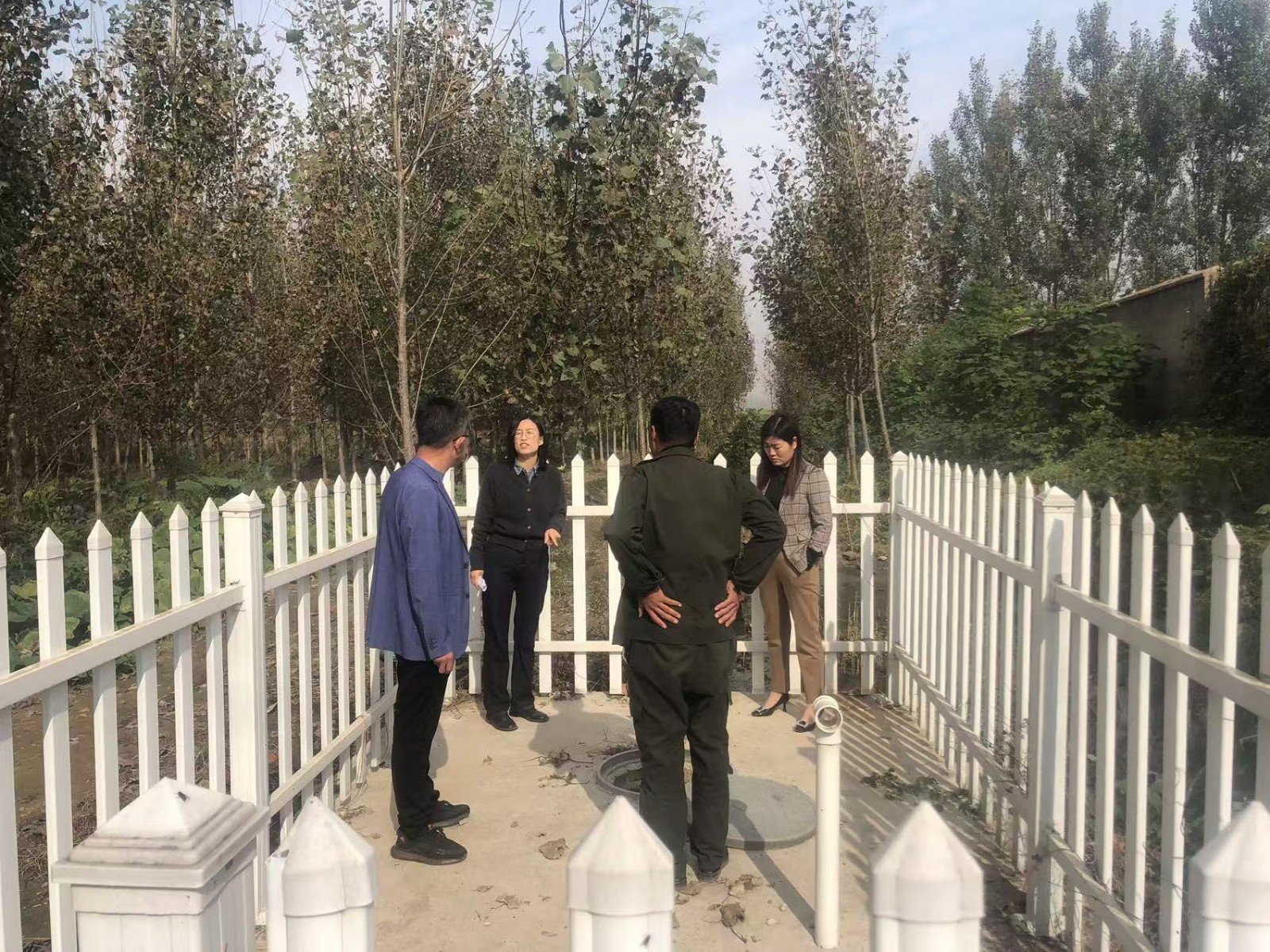 纪德花