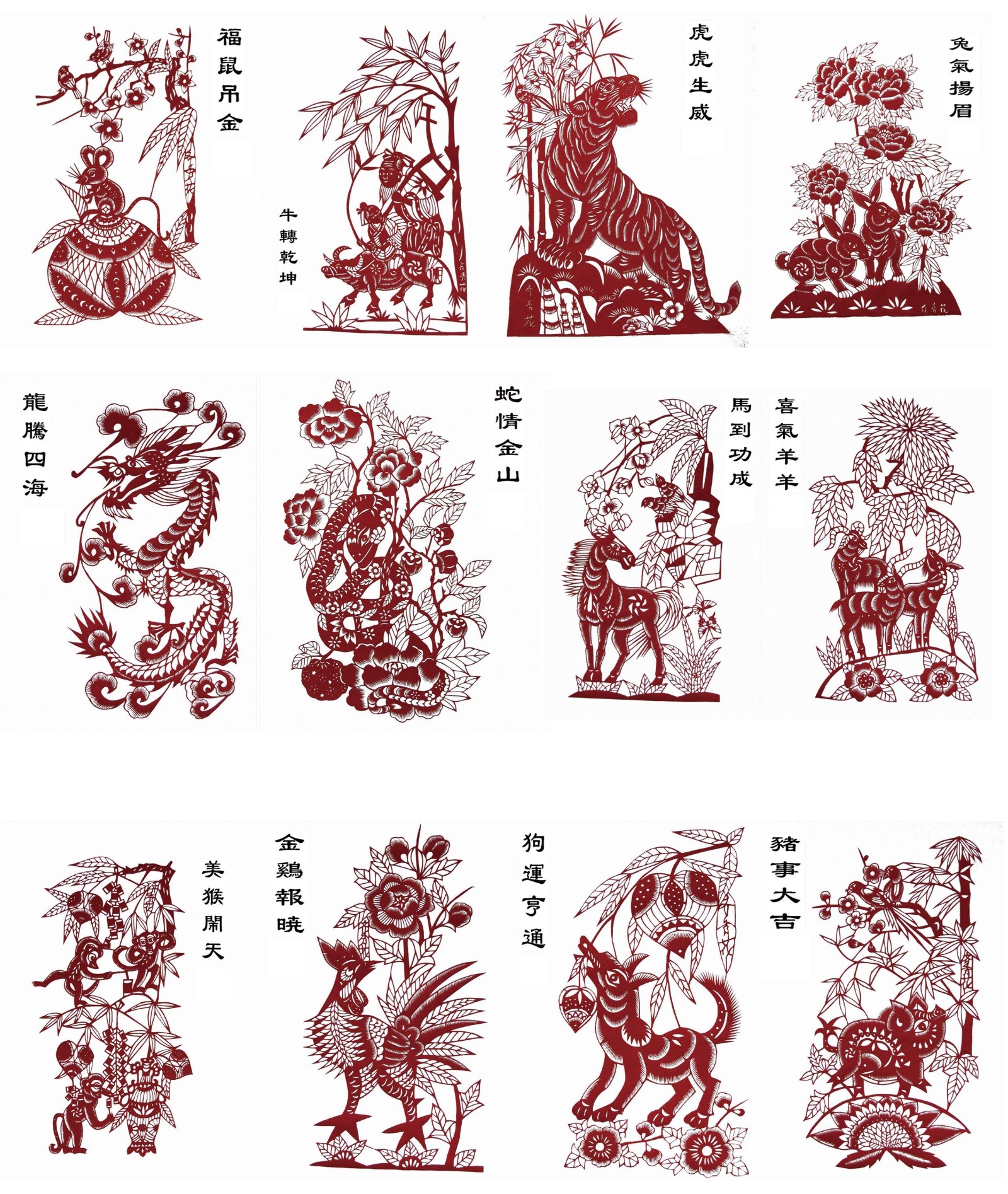 图片11