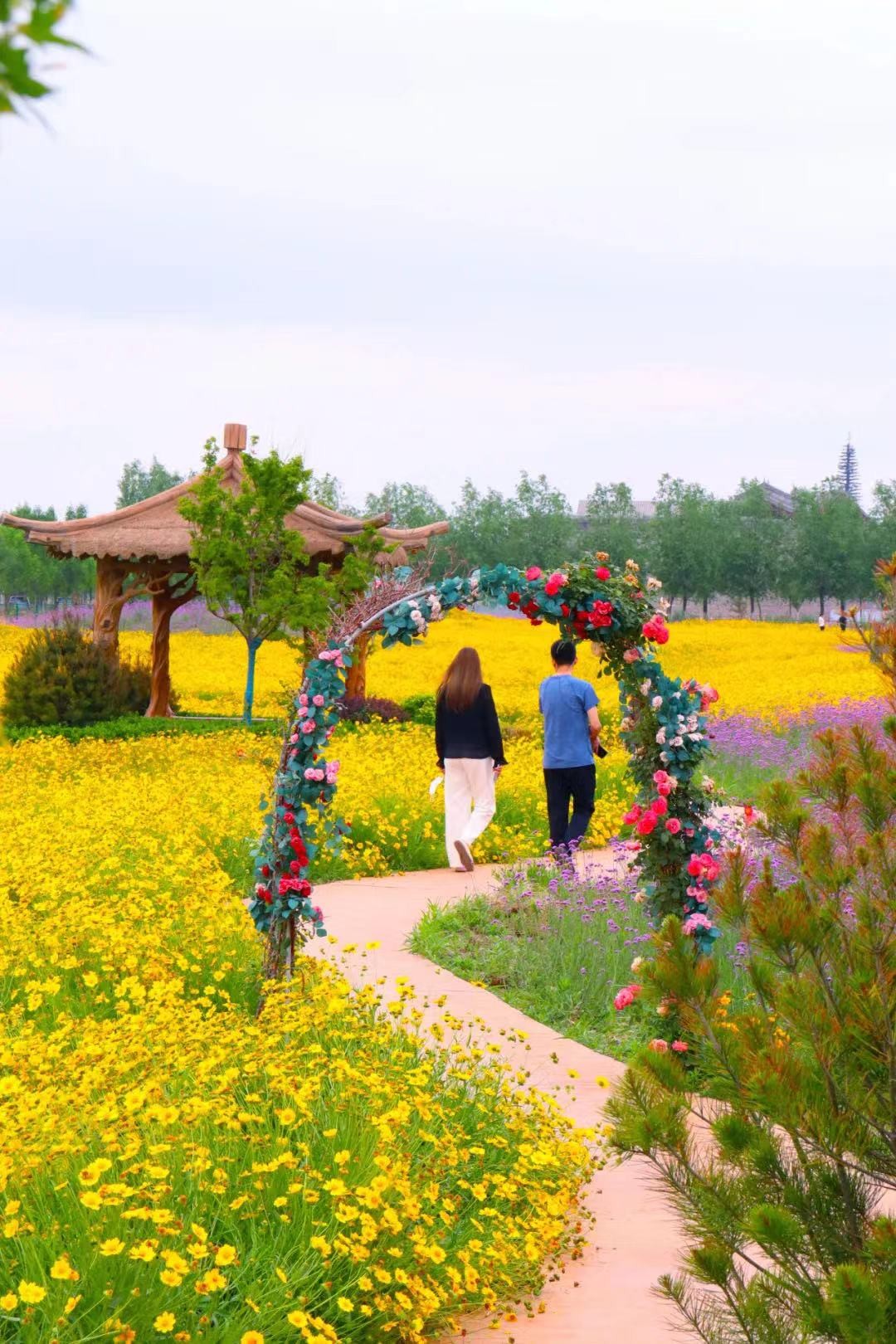 微信图片_20220609153351