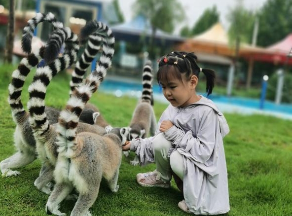 微信截图_20250401155110