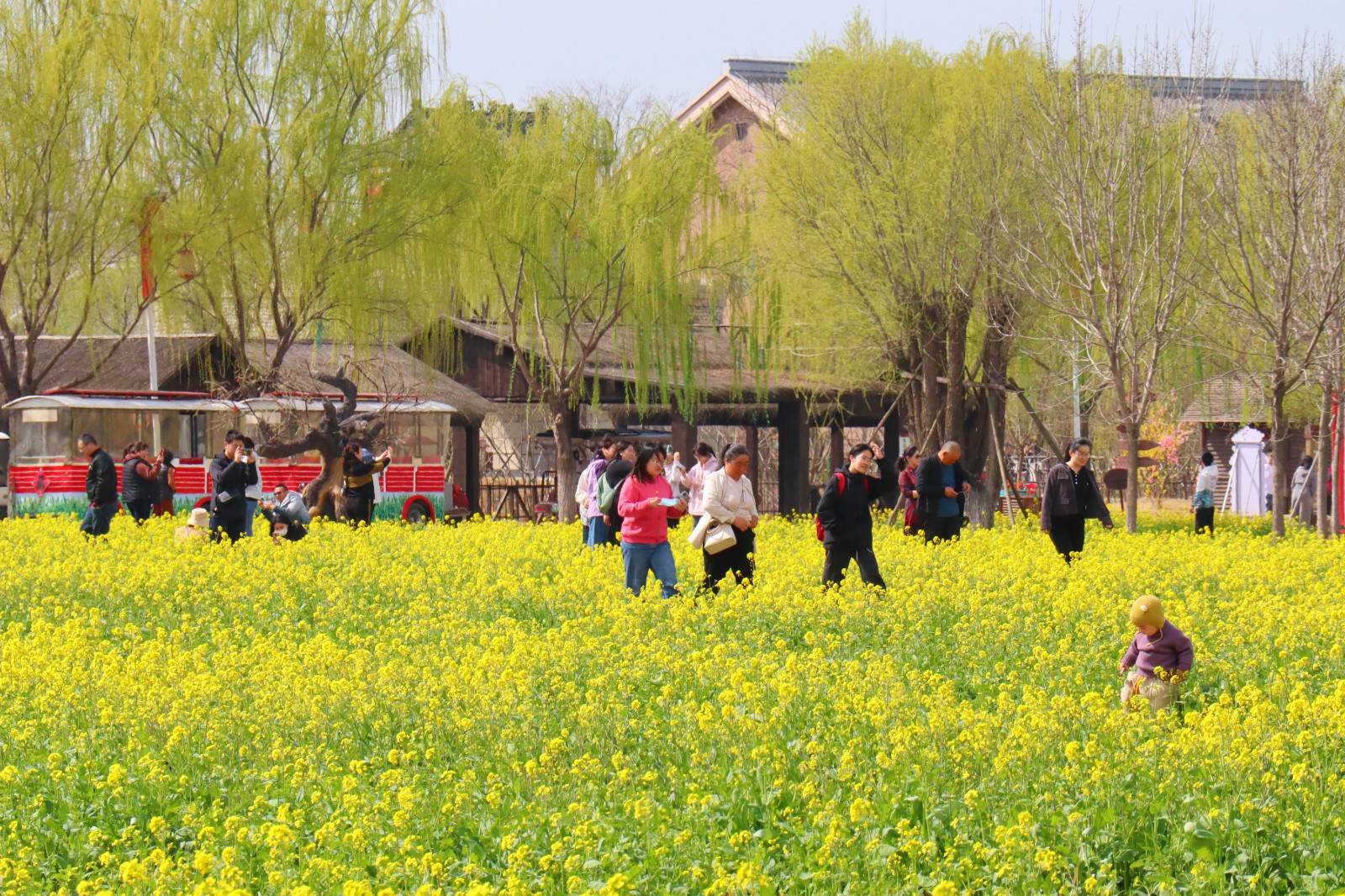 微信图片_20240408161907