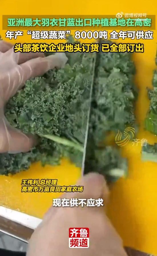 微信截图_20250705085824