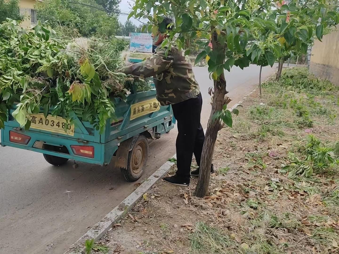 1c57ac7797134f4cfb3f6387bbadd80