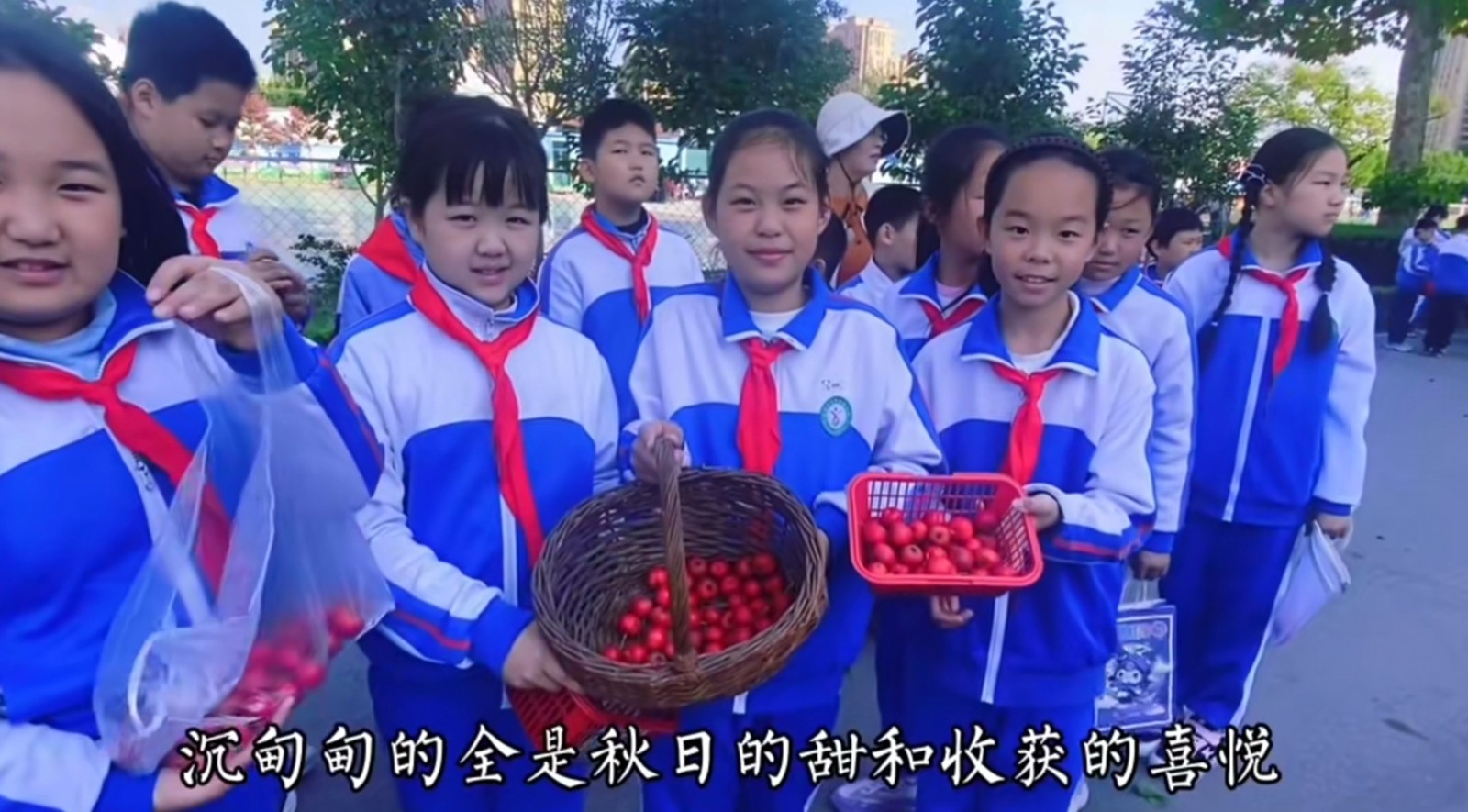 微信图片_2025-11-06_155808_589