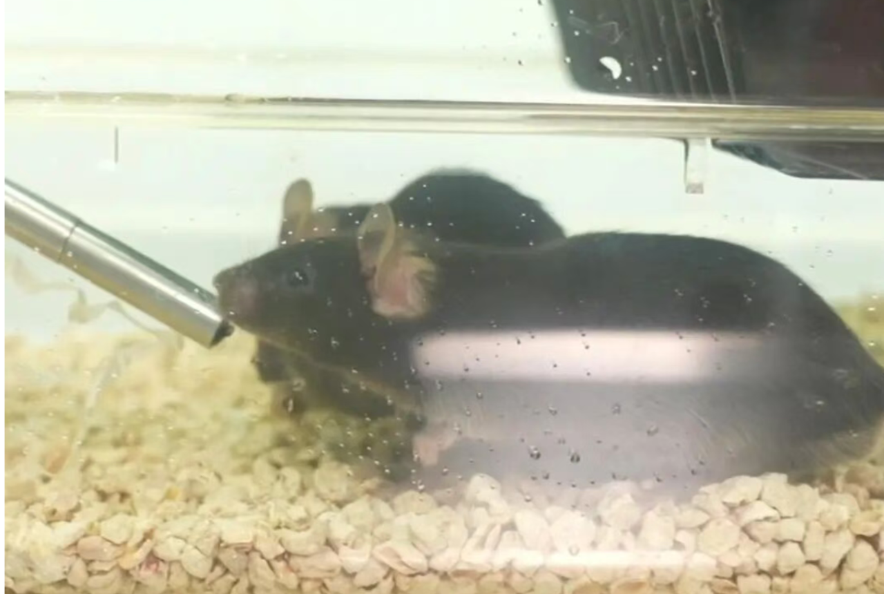 微信图片_20251116083736