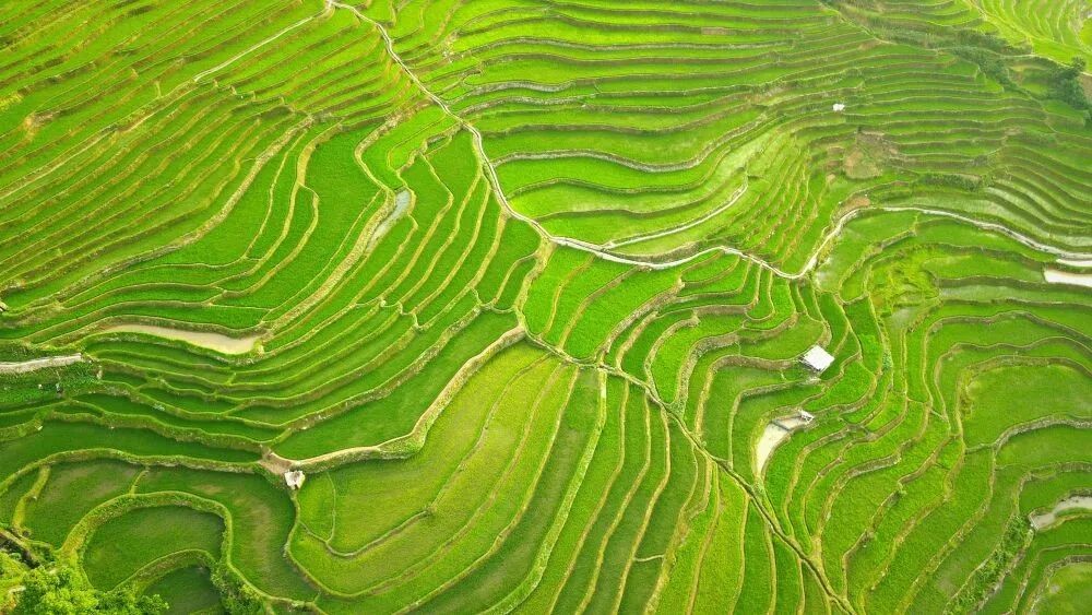 微信图片_2025-12-26_085224_130