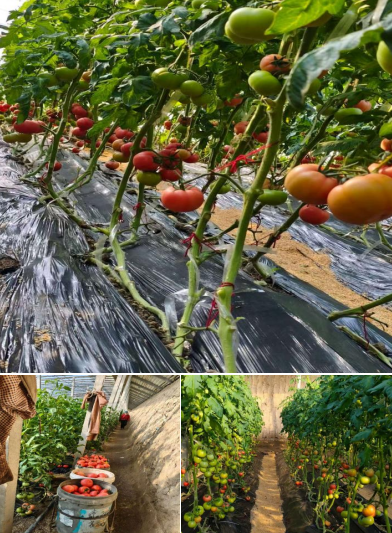 微信图片_20260202101925_417_34