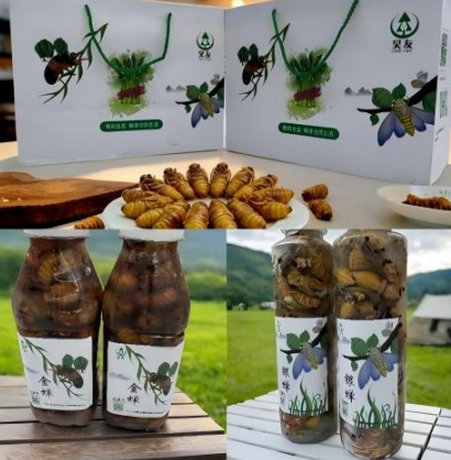 微信图片_20260202101946_418_34