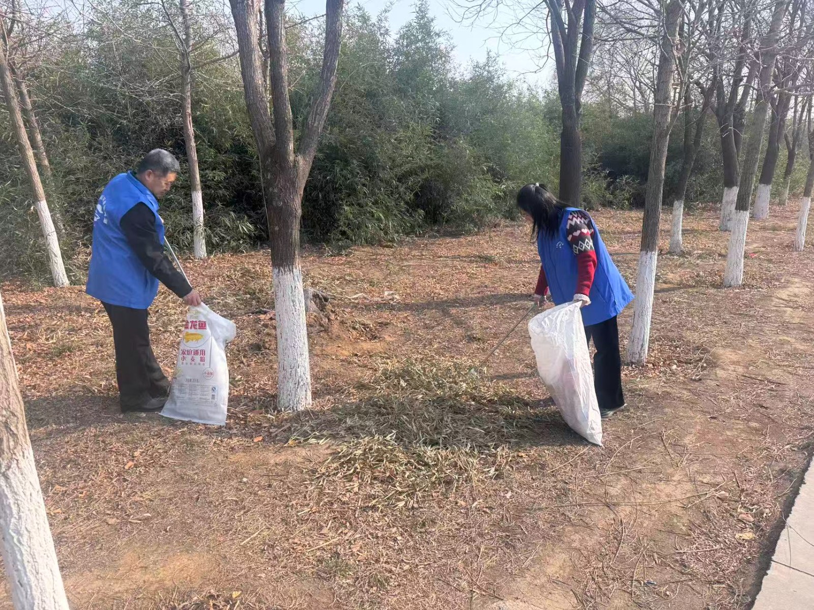 7415f20cbbe3a29b027bdff58a7d1d43