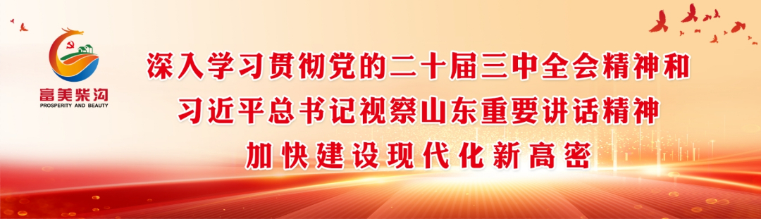 封面（2025.2.5）.jpg