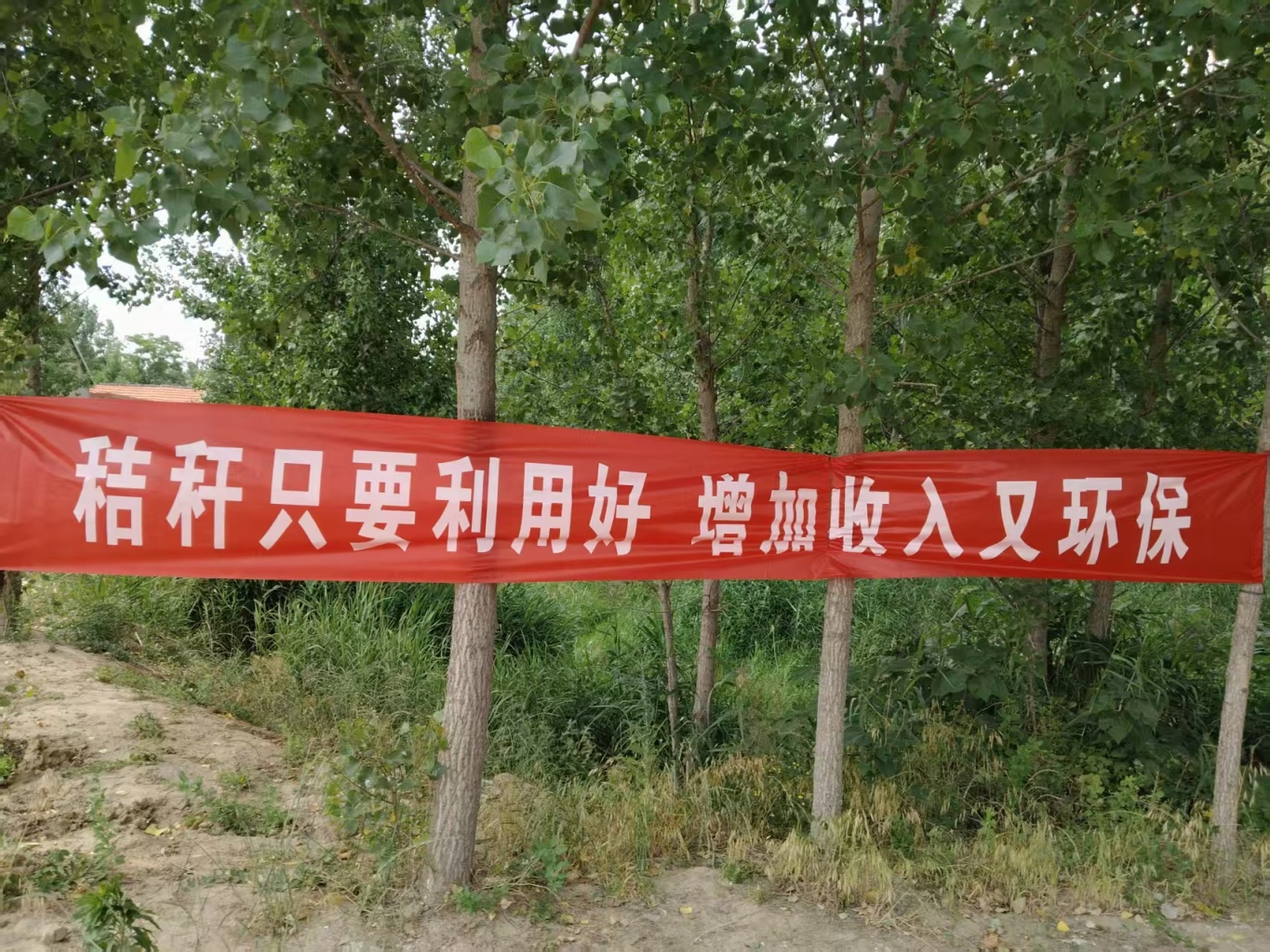 微信图片_20250609101656.jpg