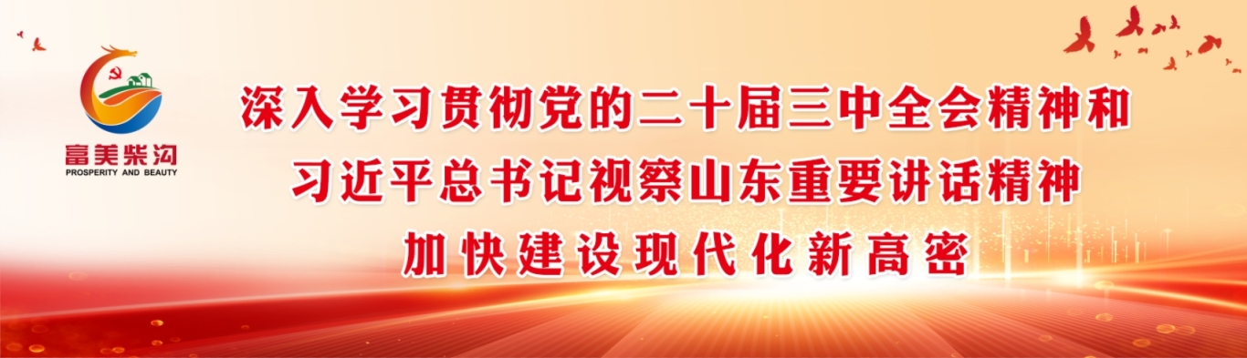 封面（2025.2.5）.jpg