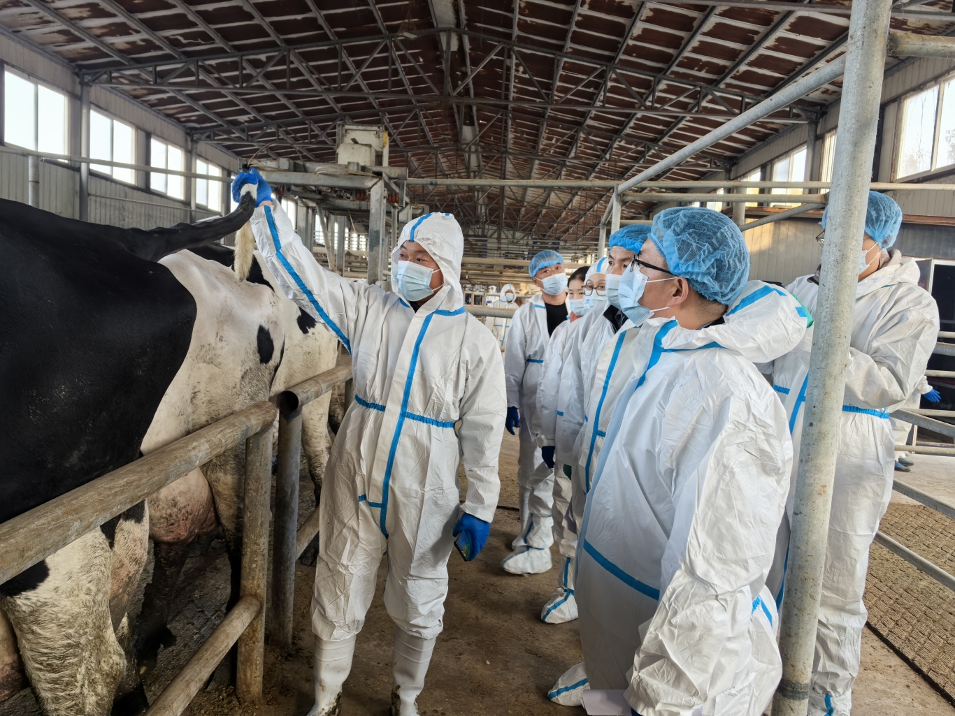 现场采样 (1).jpg