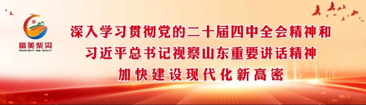 封面（2025.2.5）.jpg