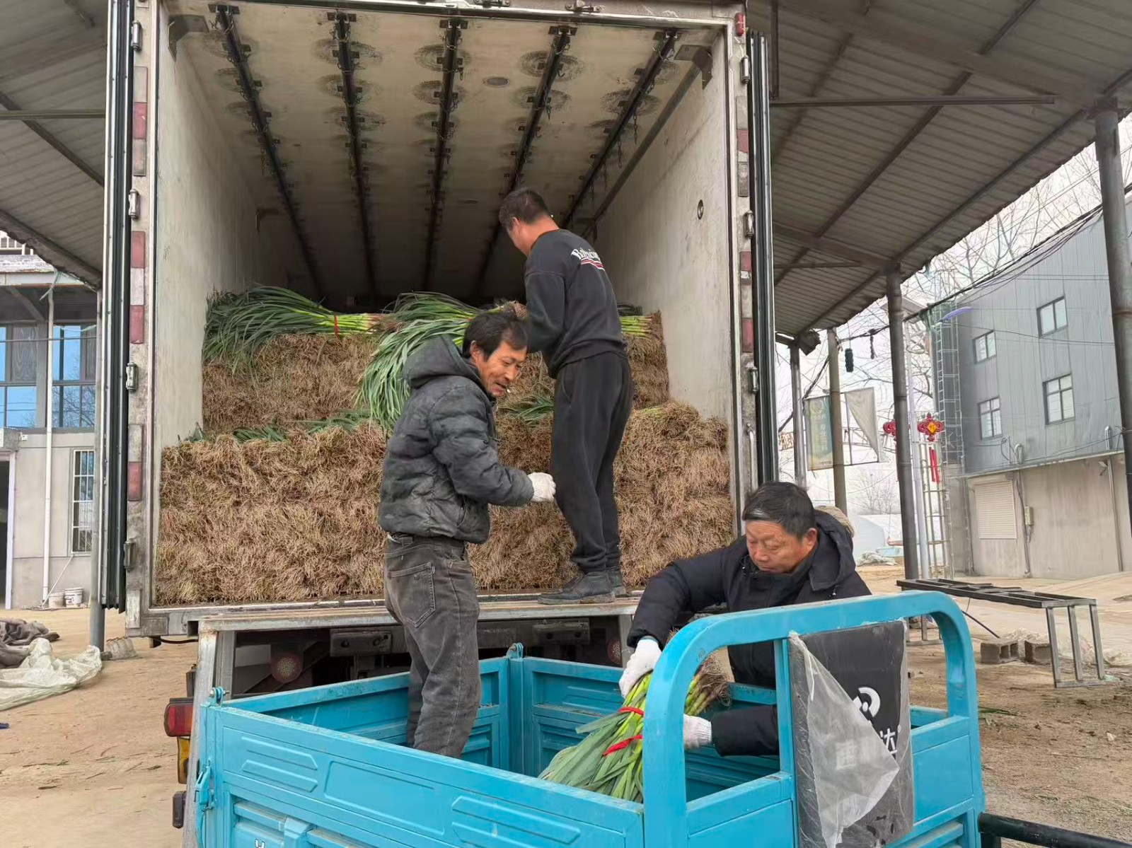 1190dd8fc45cb421a1791eac843a3455