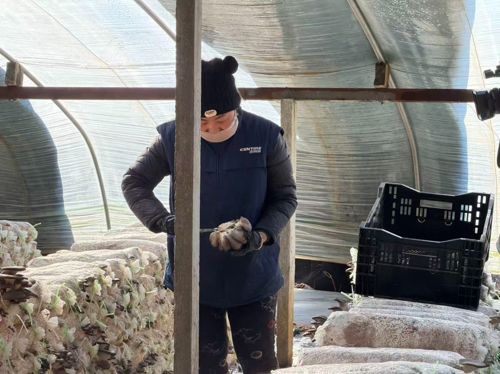 82849d23dad3ea2ddbd2eb030ad17d75