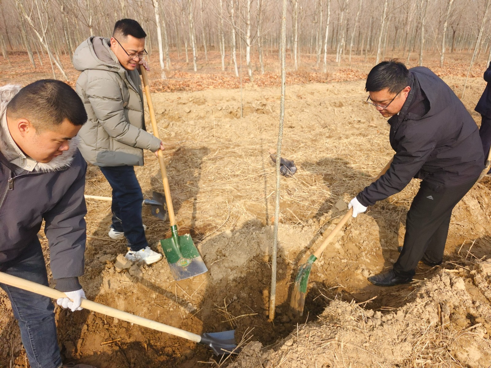 微信图片_20260312115912_792_51