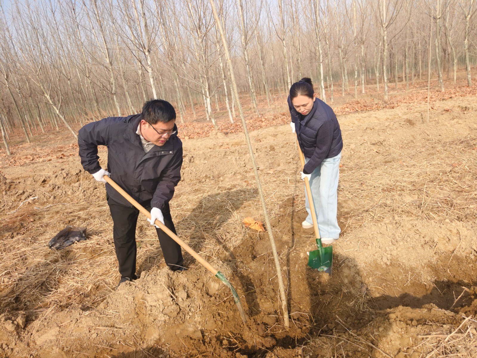 微信图片_20260312120252_795_51