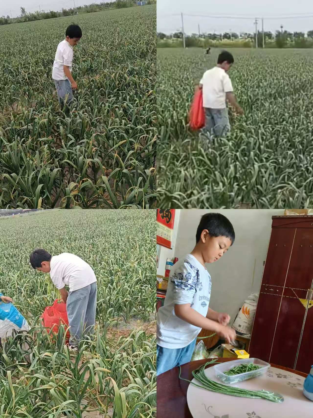 微信图片_20260509154539_132_151