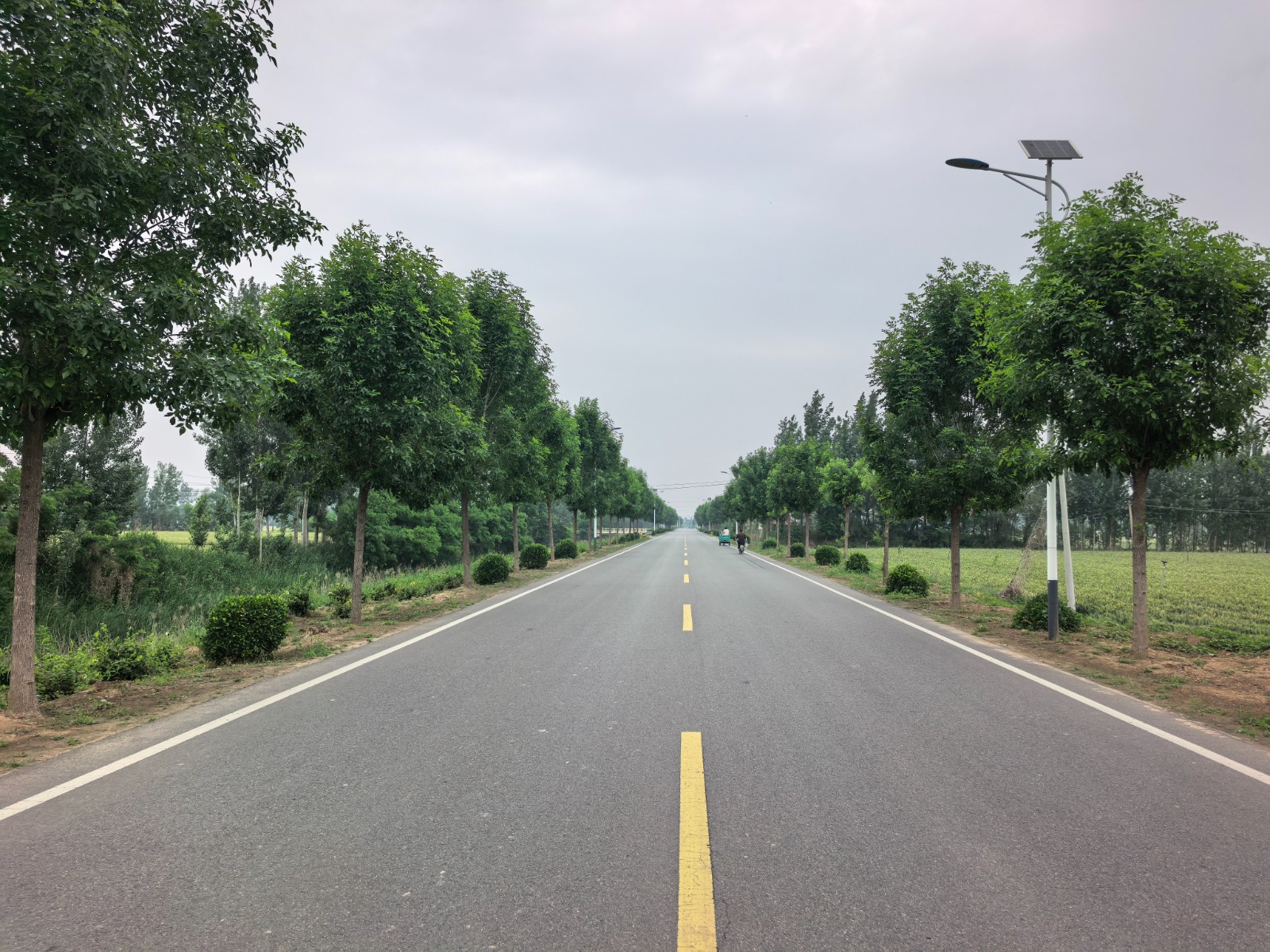 微信图片_20260529103457_764_296